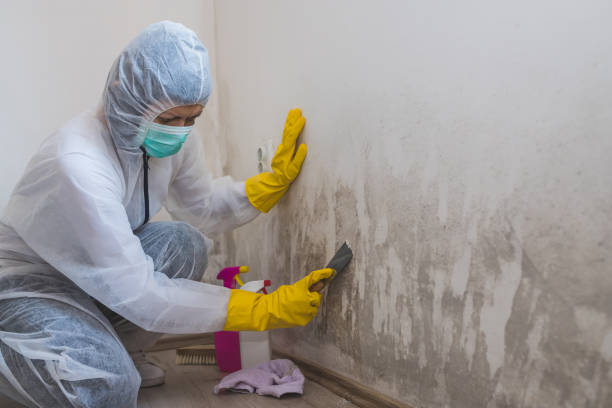Forensic Mold Investigation in Jersey City, NJ