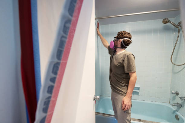 Best Mold Odor Removal Services  in Jersey City, NJ