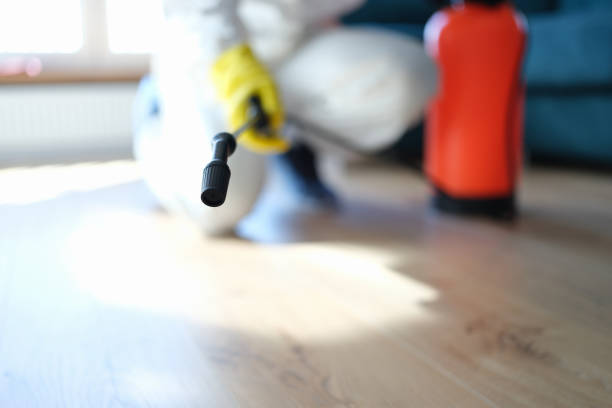Best Industrial Mold Remediation  in Jersey City, NJ