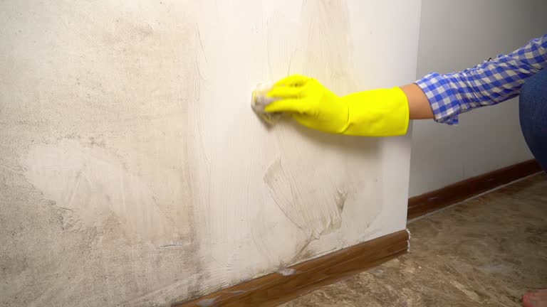 Best Post-Construction Mold Inspection  in Jersey City, NJ