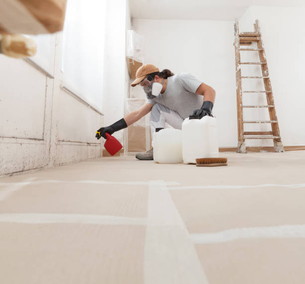 Best Air Quality Testing for Mold Spores  in Jersey City, NJ