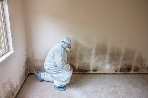 Best Residential Mold Inspection & Testing  in Jersey City, NJ